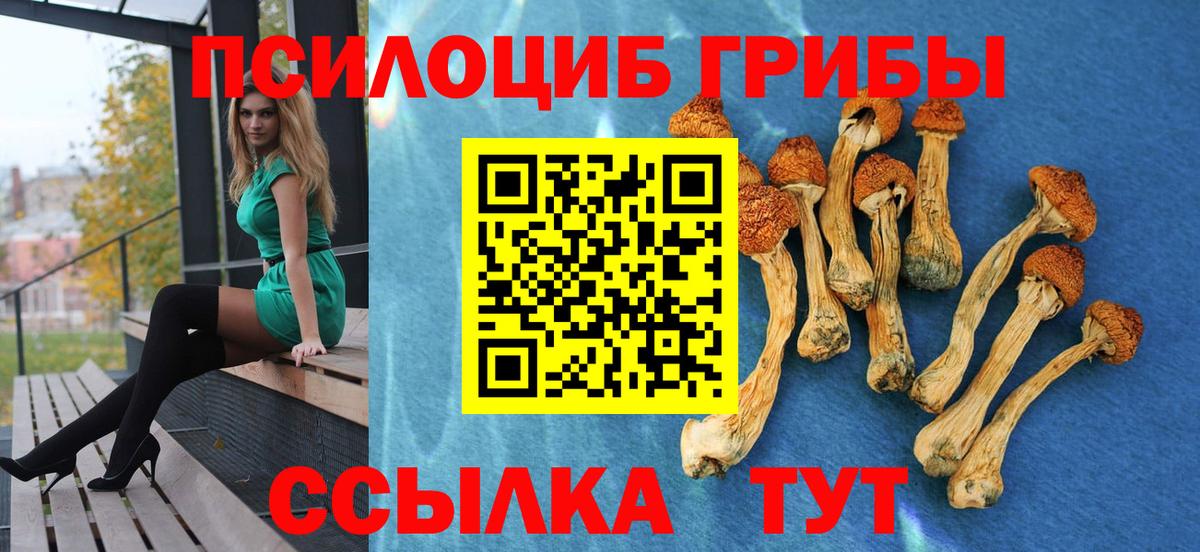Белгород  Псилоцибиновые грибы мицелий  Вход с VPN 
