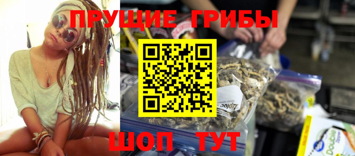 Псилоцибиновые грибы Psilocybine cubensis Белгород